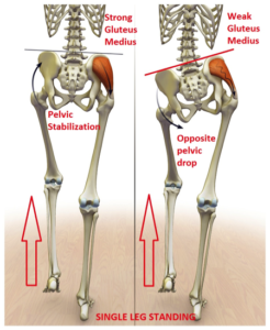 pelvis tilt