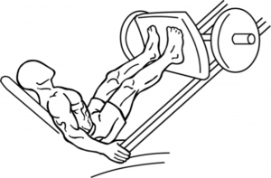 leg press