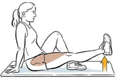 Seated home exercise program best sale